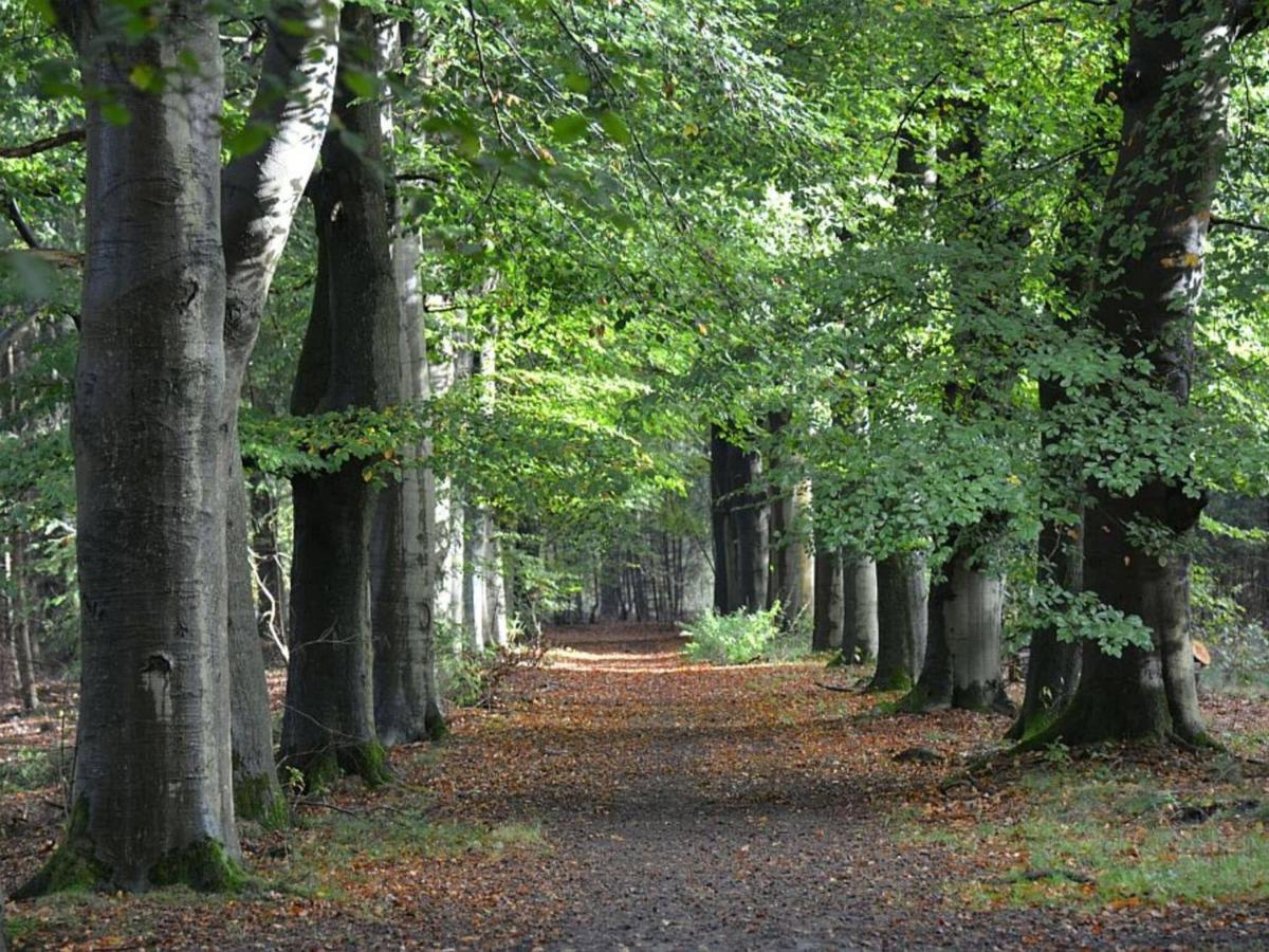 أوترخت Cosy Wooden House Amid Woods In Soesterberg المظهر الخارجي الصورة